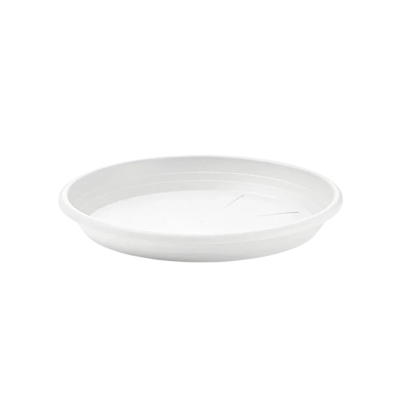 SV019-BCO-1024×1024