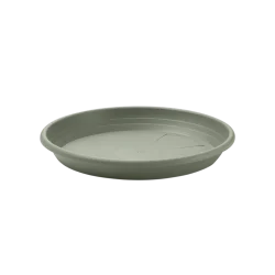 SV019-LAG-1024×1024