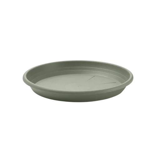 SV019-LAG-1024×1024