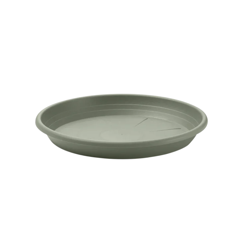 SV019-LAG-1024×1024