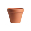Vasi