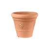 Vasi