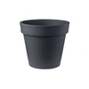 Vasi