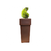 Vasi