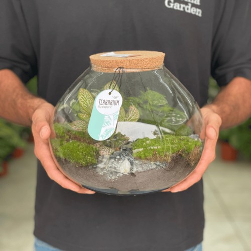 terrarium