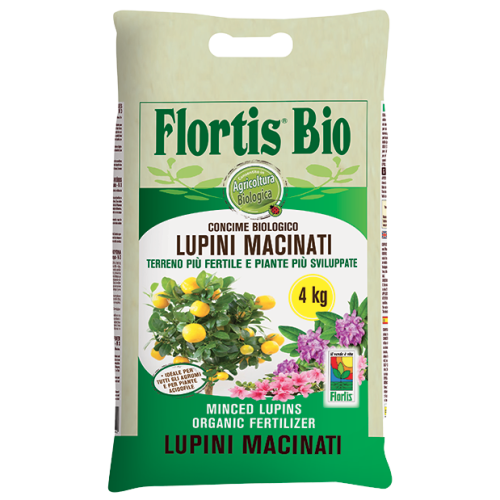 lupini 4 kg