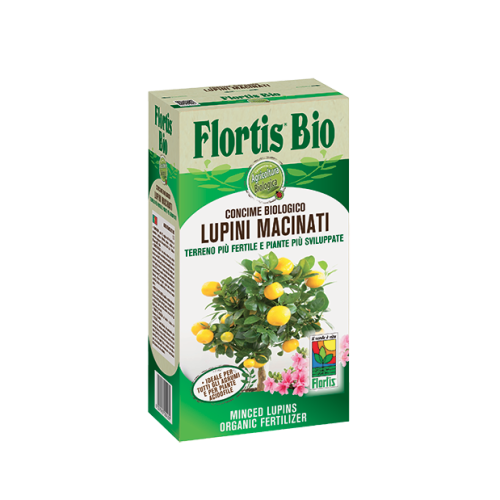 lupini 800gr