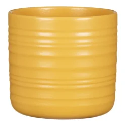 66648_0850_12_curcuma_1