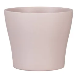 68181_0808_11_powderrose_1