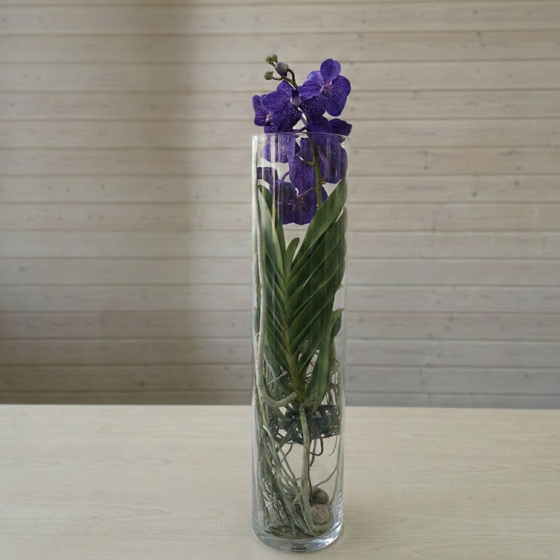 Schermata 2026-02-26 alle 13.58.40