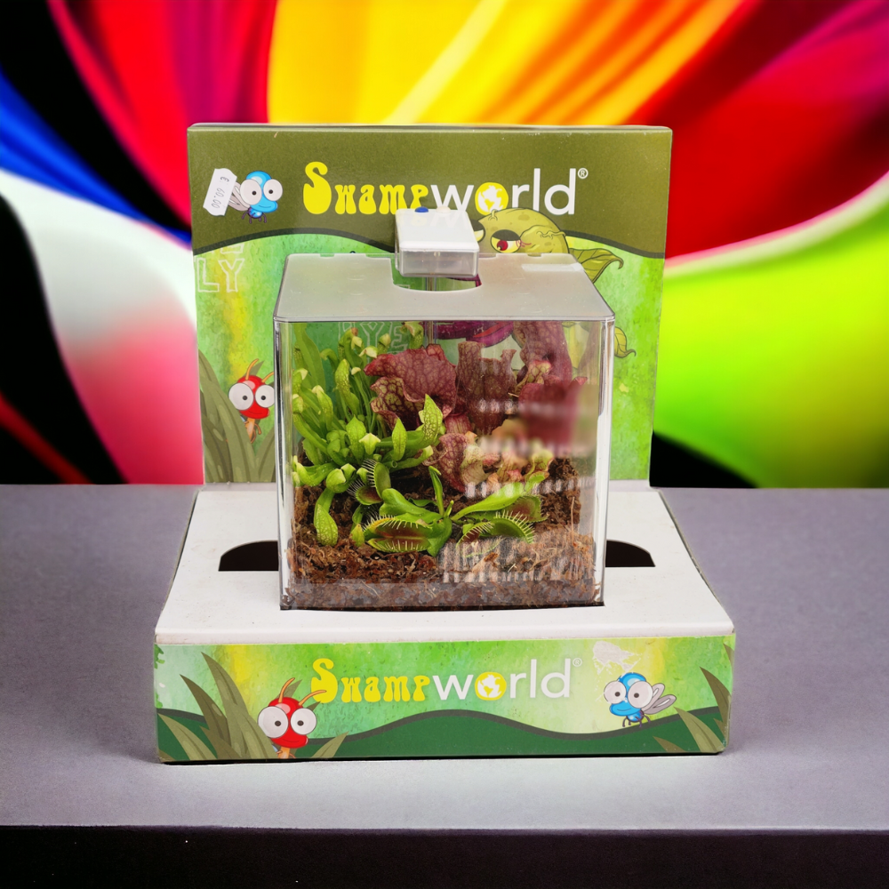 Terrarium Carnivore con Led - Vivaio Roma Garden