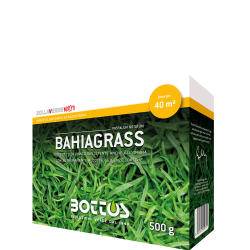 Bahiagrass-500