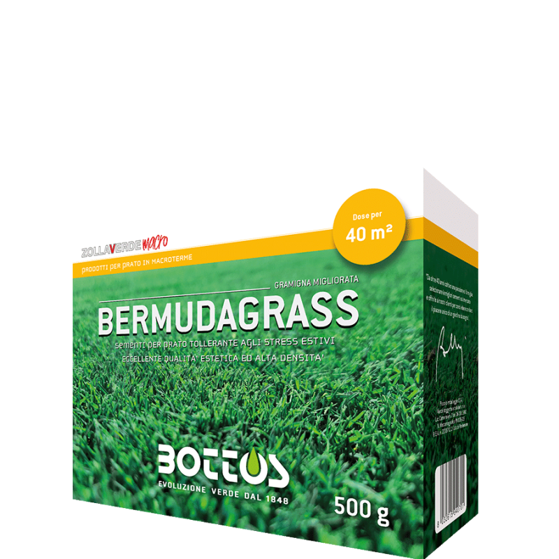 Bermudagrass-500