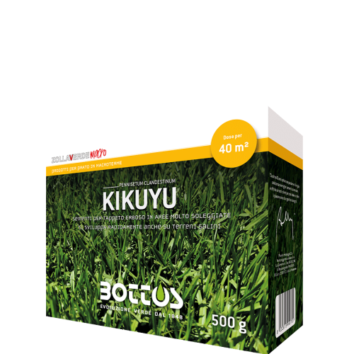 Kikuyu-500