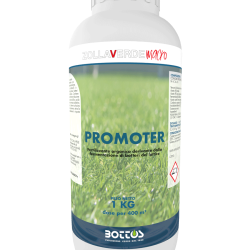 Promoter-1