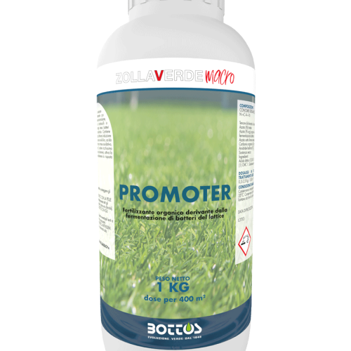 Promoter-1