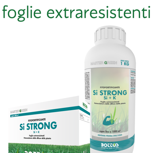 Si-Strong