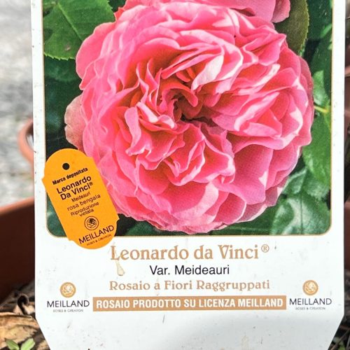 0843e028-5928-479c-b04d-dc8847582d96