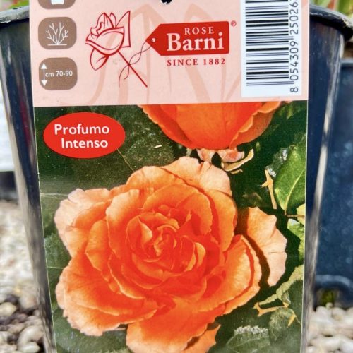 3706f41a-a098-40eb-be96-3413321cc41b