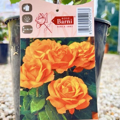 497bdeab-5674-4382-acff-ba180013d911