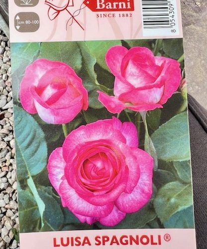 4ec00620-93cc-4a28-8685-a4cc2f5d5fb5