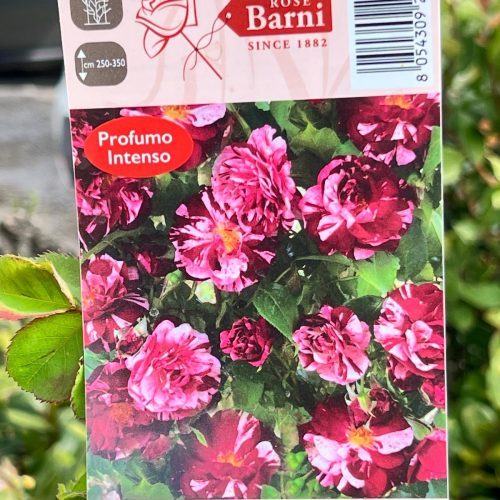 4ef456c1-5fb0-4156-b76a-b7e7edf16c2f