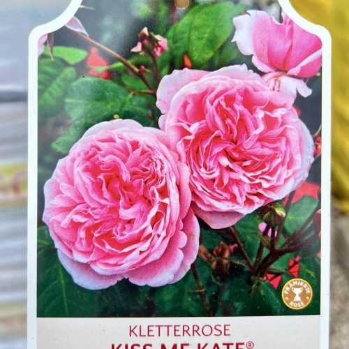 694857d1-a58d-4680-b53f-fffd3b7ec2e1