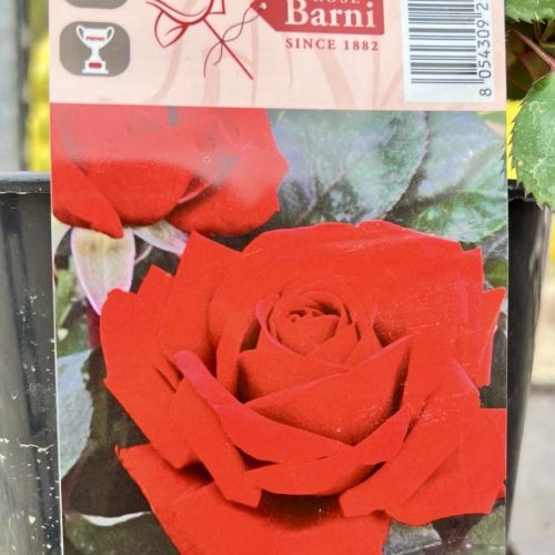 8af7fd49-af9e-4124-97d3-fa1193a532b5