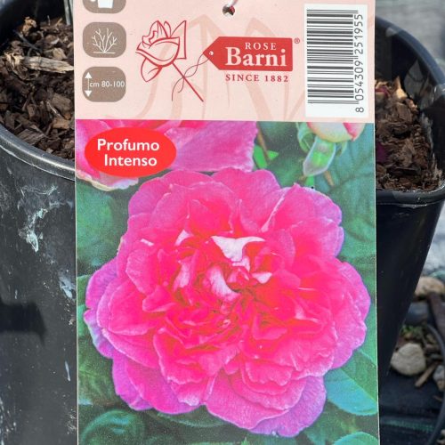 PHOTO-2024-03-15-15-19-43