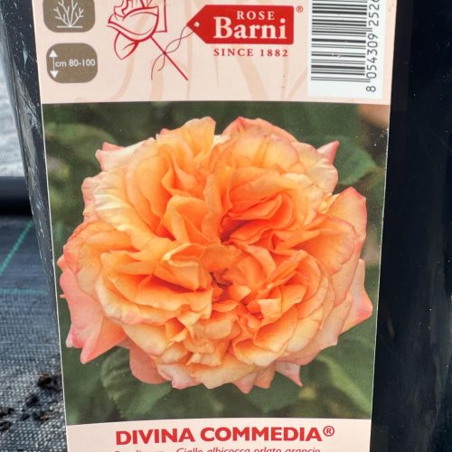 PHOTO-2024-03-15-15-20-46