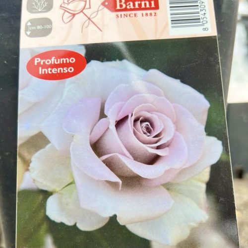 cf475eeb-9d26-4bbc-b928-11dac3747bb8