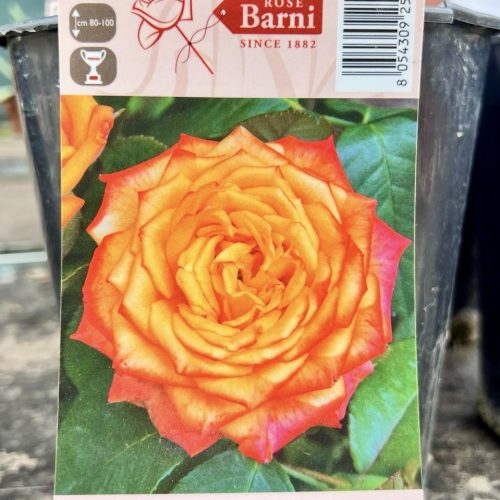 f222e10c-5112-4d94-b751-7d2b84a37e0f