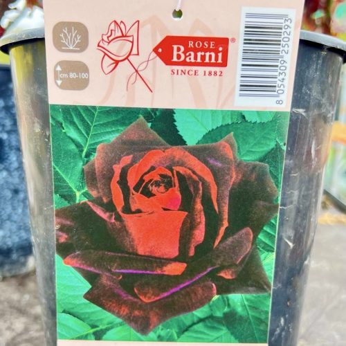 fd950f33-f975-45b9-9b3e-8799ebc855be