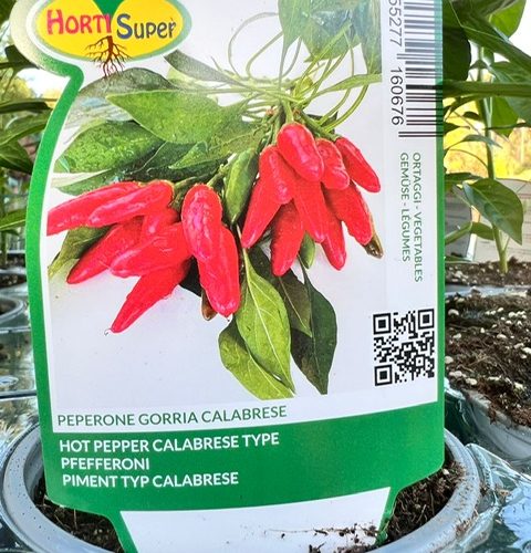 12ebf8c3-0539-40b3-b408-ef11ceb846da