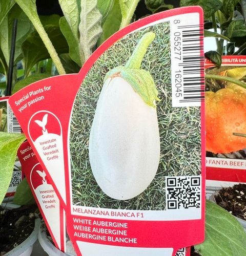 1af1d7d4-d402-43cd-80d9-eada741b6d5f