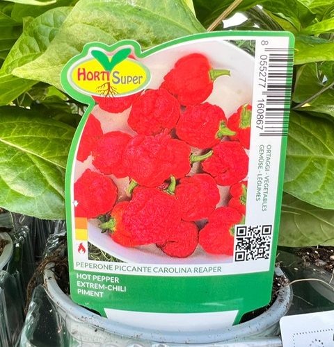 2b083bb6-1474-48b4-b721-65c4566066b1