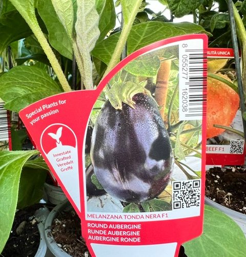 3269faae-607d-49a6-b1ed-e7042fb78407