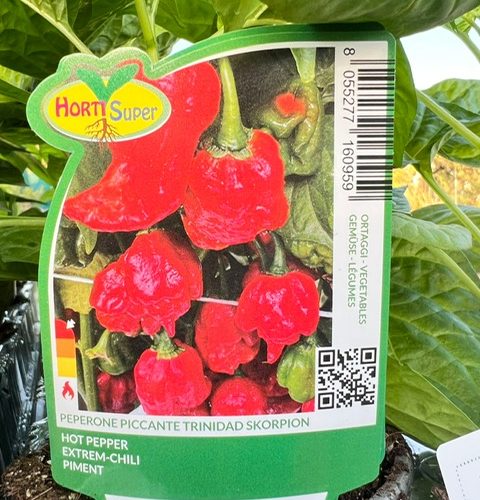 7d107f7c-02dc-4d07-b625-7e391754b549