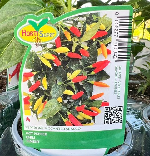 9b4fdee7-742e-4bf7-aca8-9c30d6e718ea