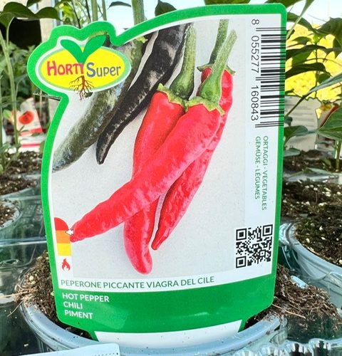 9ea6a318-b1f9-4aec-a9e7-62f79e23d7d4