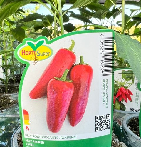 a8bb9eb4-bca7-4324-84e5-15a23c859360