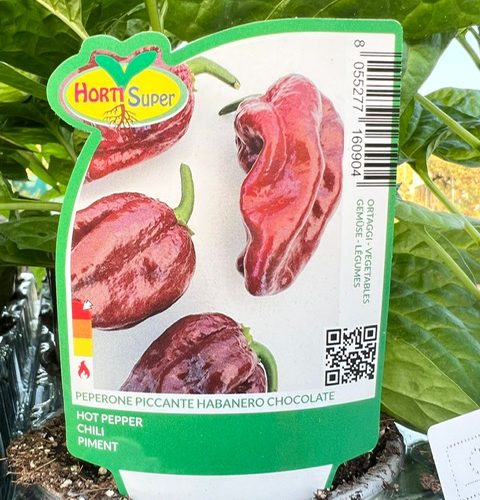 bf7dd094-c1f2-4a8a-9bb9-140a171f015f