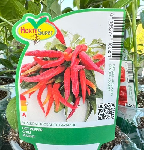 cb7d752e-1c11-4101-ac3e-bb45e6354f8b