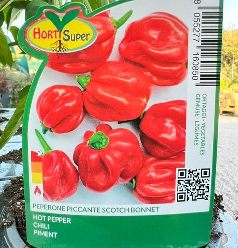 ed61609b-0fa1-456f-9232-526a6fcedad2