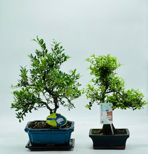 45bad0a7-f9e1-48f1-b61c-9c93e22fda3e