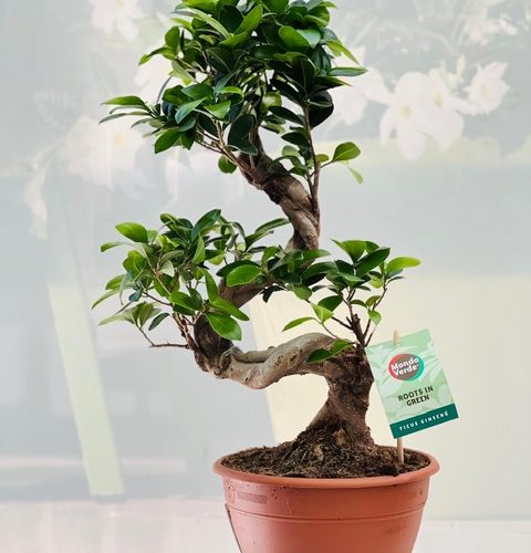 abbee1fa-901b-40f1-a684-060dca412dcb