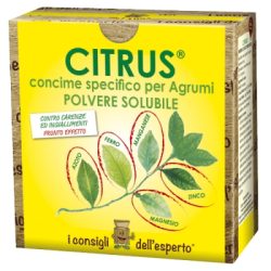 01f1a05053citrus