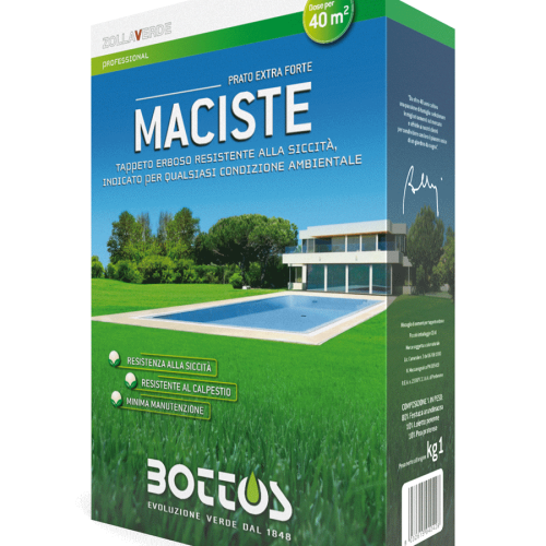 maciste-1Kg