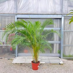 6b2dab1b-c59e-46fc-ba63-008240158511 (1)