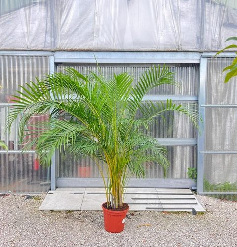 6b2dab1b-c59e-46fc-ba63-008240158511 (1)